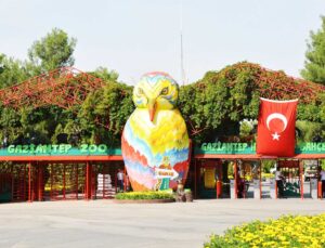 Gaziantep Doğal Yaşam Parkı’nda 10 ayda 1100 yavru doğdu