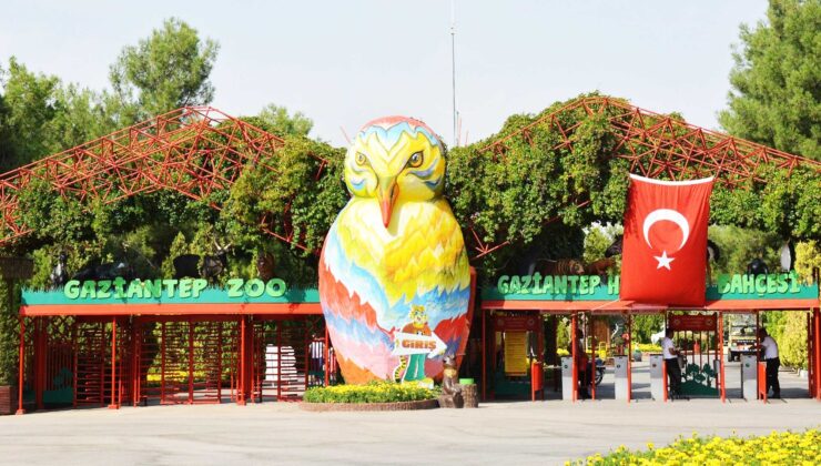 Gaziantep Doğal Yaşam Parkı’nda 10 ayda 1100 yavru doğdu