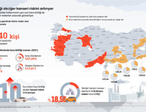 Hava kirliliği akciğer kanseri riskini artırıyor