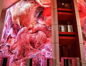 Kalıcı yapay zeka sanat eseri Akbank Genel Müdürlüğü’nde yerini aldı