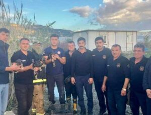 Hatay’da yağmur suyu giderinde mahsur kalan köpek yavrularını itfaiye ekipleri kurtarıldı