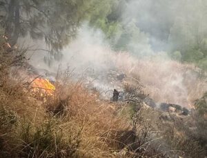 Hatay’ın İskenderun İlçesinde Orman Yangını Söndürüldü