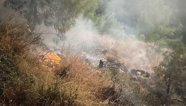 Hatay’ın İskenderun İlçesinde Orman Yangını Söndürüldü