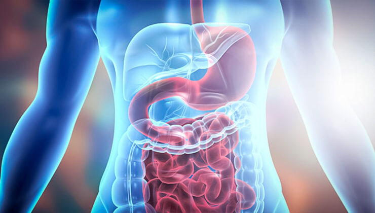 Güven Çayyolu Cerrahi Tıp Merkezinden “norovirüs” vakaları değerlendirmesi