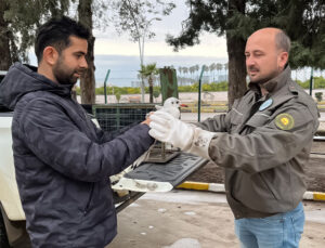 Hatay’da Yaralı Bulunan Martı Tedavi Altına Alındı