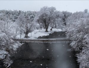 Erciş’te kar yağışı etkili oldu