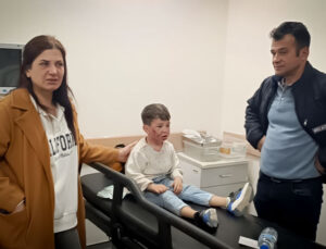 Hatay’da Sahipsiz Köpek Saldırısına Uğrayan 7 Yaşındaki Çocuk Yaralandı