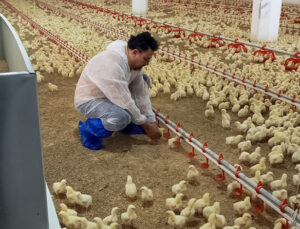 Samandağ İlçe Tarım ve Orman Müdürlüğü ekiplerinden denetim