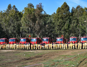 Adana’da “Ormancılık Olimpiyatları” sürüyor