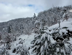 Kastamonu’da Kar Yağışı Sonrası Beyaz Örtü Dronla Görüntülendi