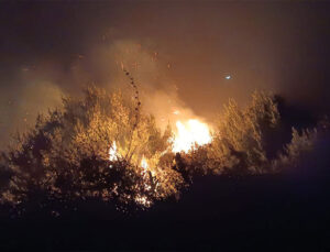 Hatay’da Bahçede Çıkan Yangın Kontrol Altına Alındı