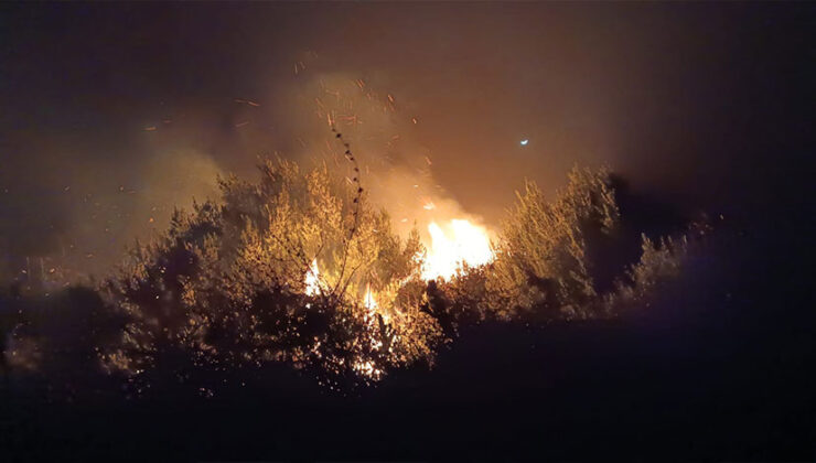 Hatay’da Bahçede Çıkan Yangın Kontrol Altına Alındı