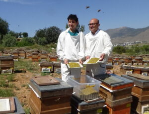 Mersin’de arıcılar sezonun ilk polen hasadını yaptı