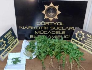 Dörtyol’da 20 Kök Kenevir ve 26 Gram Esrar Ele Geçirildi