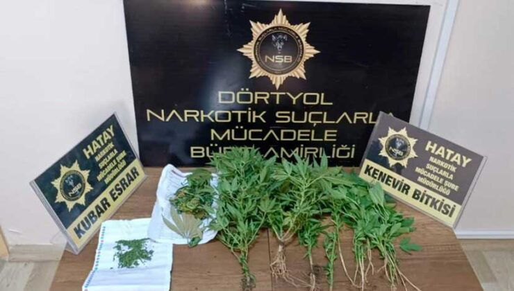 Dörtyol’da 20 Kök Kenevir ve 26 Gram Esrar Ele Geçirildi