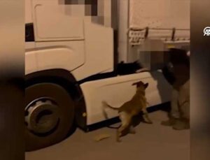 Kapıkule Gümrük Kapısı’nda 171 Kilogram Uyuşturucu Ele Geçirildi: 2 Kişi Tutuklandı