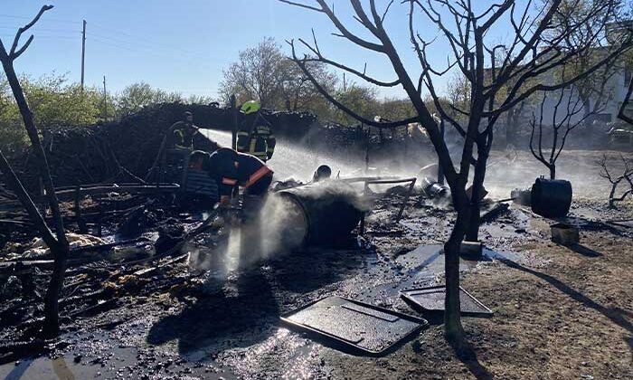 Mersin Gülnar’da Ahır Yangını: 21 Hayvan Telef Oldu