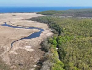 Kırklareli’nin Longoz Ormanları ilkbaharla renklendi