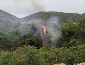Hatay Defne’de bahçe yangını paniğe neden oldu!