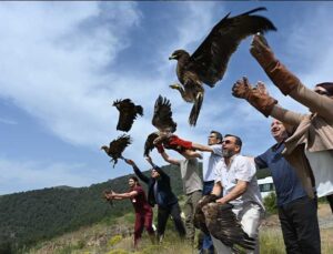 Hatay’da 10 Yaralı Kuş Doğaya Salındı!
