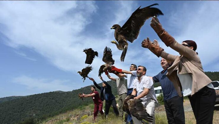 Hatay’da 10 Yaralı Kuş Doğaya Salındı!