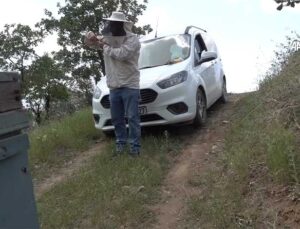 Şırnak’ta Ürettiği Balla Paris’te “Altın Lezzet Ödülü”nü Kazandı