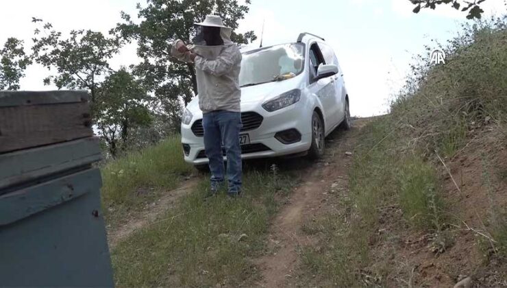 Şırnak’ta Ürettiği Balla Paris’te “Altın Lezzet Ödülü”nü Kazandı