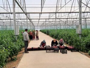 TKDK’den Hataylı Depremzede Girişimcilere 200 Milyon Liralık Ek Destek