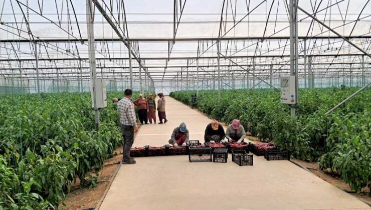 TKDK’den Hataylı Depremzede Girişimcilere 200 Milyon Liralık Ek Destek