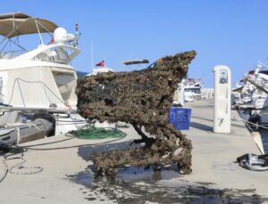 Mersin’de Denizden Araç Lastiği, Alışveriş Sepeti ve Çok Sayıda Atık Çıkarıldı