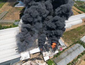 Antalya Gazipaşa’da Fide Üretim Tesisinde Yangın Çıktı