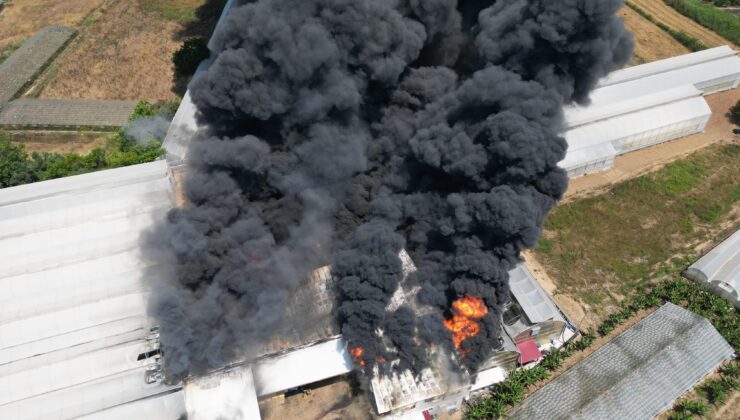 Antalya Gazipaşa’da Fide Üretim Tesisinde Yangın Çıktı