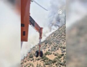 Aydın Söke’de Zeytinlik Alanda Yangın: Havadan ve Karadan Müdahale Sürüyor