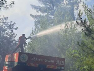 Dörtyol’da Orman Yangını Korkuttu: Alevler Kontrol Altına Alındı