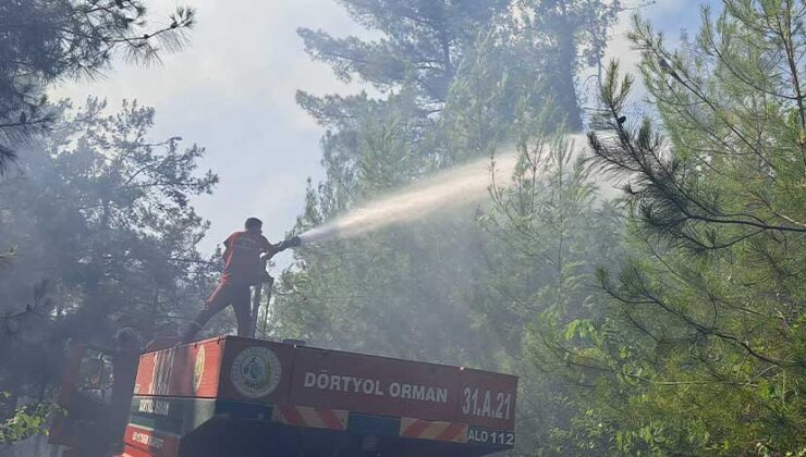 Dörtyol’da Orman Yangını Korkuttu: Alevler Kontrol Altına Alındı