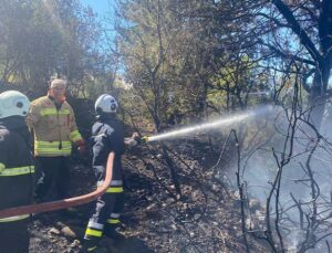Arsuz’da Ormanlık Alanda Çıkan Yangın Söndürüldü