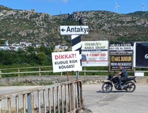 Samandağ’da Kuduz Karantinası Uygulanan 4 Mahallede Sahipsiz Köpekler Toplatılıyor