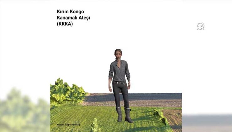 Sağlık Bakanlığı: Türkiye’de Kene Yoğunluğu Artmadı, KKKA Mücadelesi Kararlılıkla Devam Ediyor