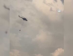 Şanlıurfa Birecik’te Çıkan Örtü Yangını Kontrol Altına Alındı