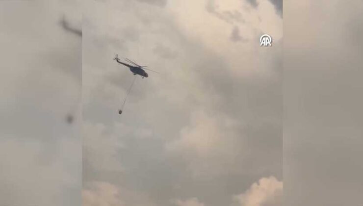 Şanlıurfa Birecik’te Çıkan Örtü Yangını Kontrol Altına Alındı