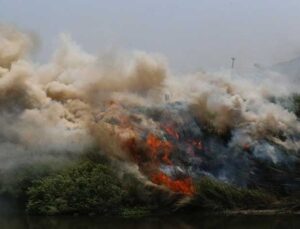 Hatay’da Asi Nehri Kenarındaki Yangın Kontrol Altına Alındı