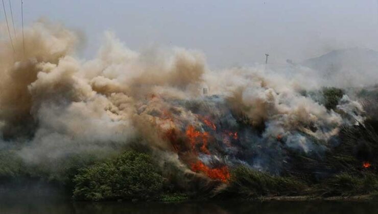 Hatay’da Asi Nehri Kenarındaki Yangın Kontrol Altına Alındı
