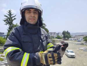 Arsuz’da Ağaca Dolanan Karga İtfaiye Ekipleri Tarafından Kurtarıldı