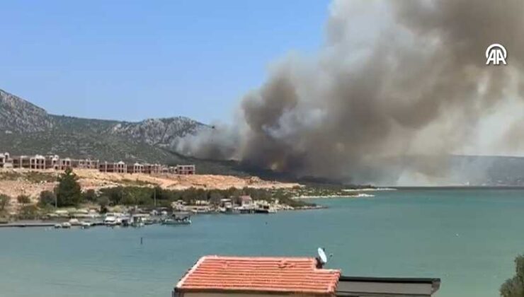 İzmir’de çıkan orman yangına müdahale ediliyor