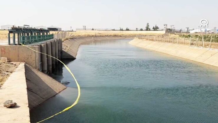 Mardin Derik’te Sulama Kanalında Kaybolan Gencin Cansız Bedeni Bulundu