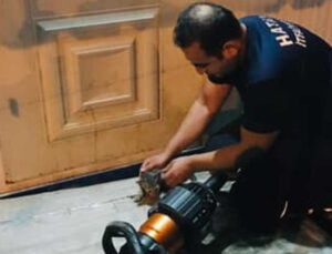 İskenderun’da İtfaiyeden Mucize Kurtarış: Kalbi Duran Kediye Kalp Masajı