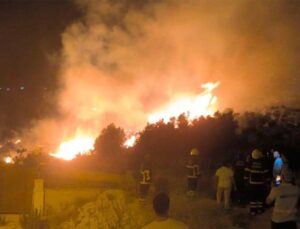 Samandağ’da Makilik Alanda Yangın Paniği
