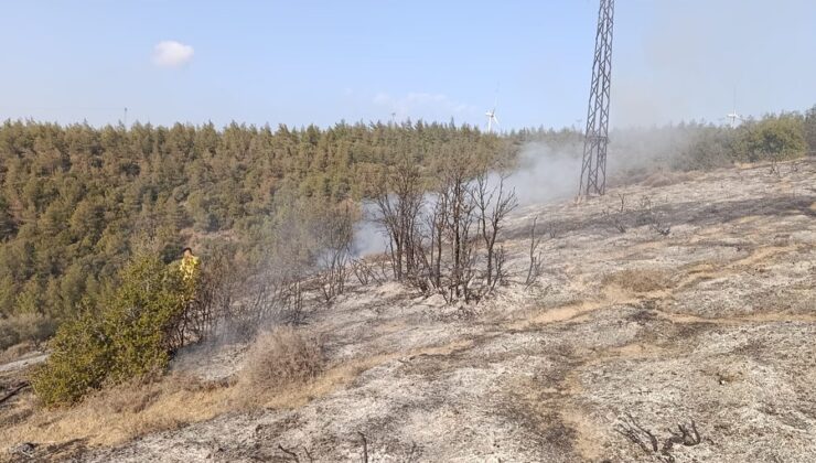 Hatay Belen’de Orman Yangını Korkuttu: Alevler Kontrol Altına Alındı