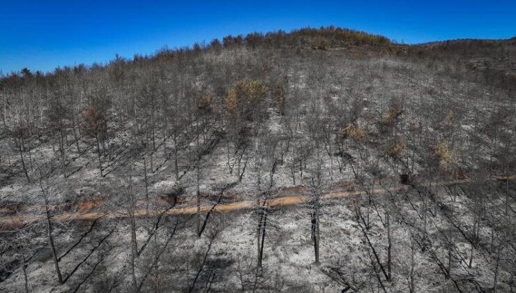Hatay’daki Orman Yangını Kontrol Altına Alındı: Soğutma Çalışmaları Sürüyor