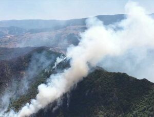 Karabük’teki Orman Yangınları 3. Gününde: 14 Köy Tahliye Edildi